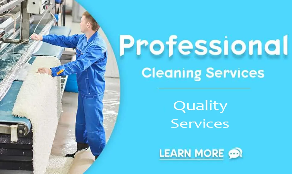 Professional Cleaning