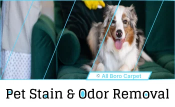 Pet Stain and Odor Removal